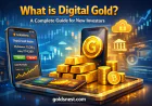 What is Digital Gold? A Complete Guide for New Investors