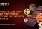 How Dream11 Clone Script Helps Startups Build Profitable Fantasy Sports Platforms
