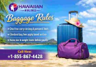 Understanding Hawaiian Airlines Baggage Rules Before You Fly