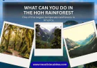 What Can You Do in the Hoh Rainforest