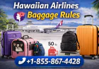 Hawaiian Airlines Baggage Rules: Size, Weight & Fees Explained