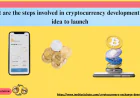 What are the steps involved in cryptocurrency development from idea to launch