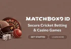 Matchbox9 Betting ID – Secure & Fast Online Sports Betting Platform