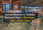 Luxury Resorts in Tadoba National Park + Premium Tiger Safari Tours