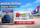 Hawaiian Airlines Baggage Allowance: Fees, Size Limits & Smart Packing Tips