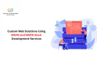 Custom Web Solutions Using MEAN and MERN Stack Development Services