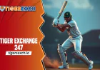 Tiger Exchange 247: Playing Cricket on Tiger Exchange ID
