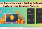 How Entrepreneurs Are Building Profitable Cryptocurrency Exchange Platforms