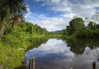 What can you expect in Manu National Park tours?