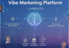Vibelets Vibe Marketing Platform Audience-First Marketing