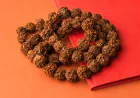 Rudraksha Calculator – Find the Right Rudraksha Using Astrology & Numerology