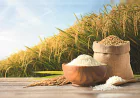 How India’s Basmati Rice Exporters Lead Premium Rice Trade Worldwide