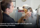 Improve Your Pet’s Health with Proper Pet Grooming Practices