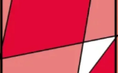 The Joy of the Daily Puzzle: How Letterboxed Became a Quiet Obsession