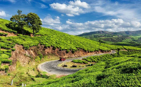 Why Choose a Luxury Tour Operator Over Self-Planning in India?