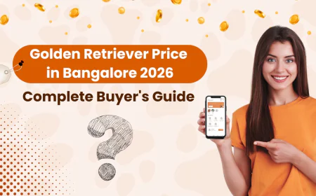 Golden Retriever Price in Bangalore 2026: Complete Buyer's Guide