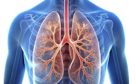 Strengthening Your Breathing: A Complete Guide to Lung Training Tools