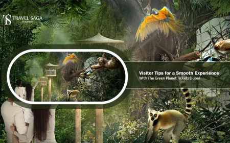 Visitor Tips for a Smooth Experience with The Green Planet Tickets Dubai