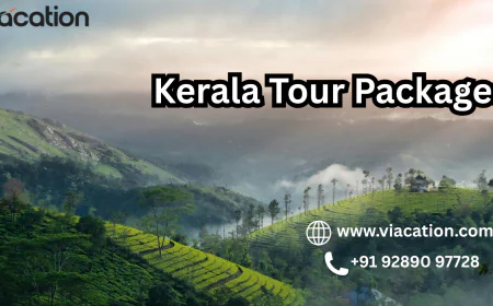 Why Kerala Tour Packages Are a Perfect Fit for Family Holidays in 2026