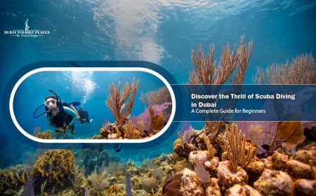 Discover the Thrill of Scuba Diving in Dubai: A Complete Guide for Beginners