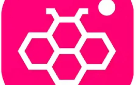 The Allure of the Custom Feed: When Personalization Becomes a DIY Project