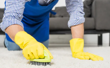 Carpet Cleaning The Key to a Healthier, Fresher Home