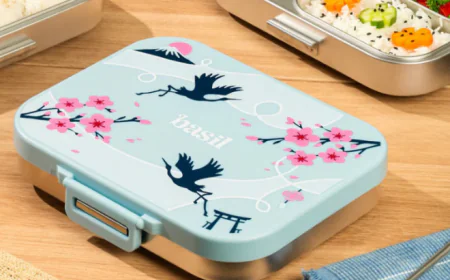 Stainless Steel School Lunch Boxes vs Plastic: Which Is Safer for Kids?