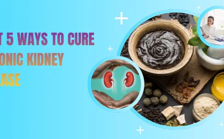 Cure Chronic Kidney Disease