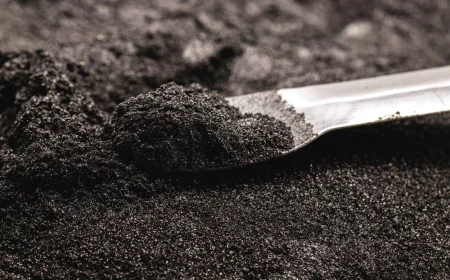 India Metal Powder Market Trends, Growth, and Demand Forecast 2025-2033