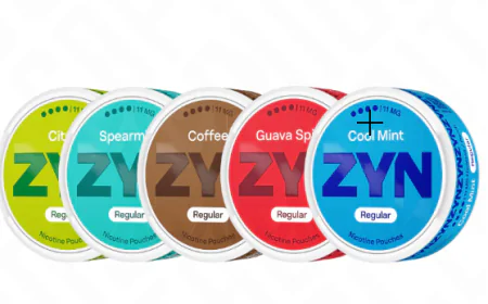 Best Nicotine Pouches UK – A Smoke-Free Option for Adults