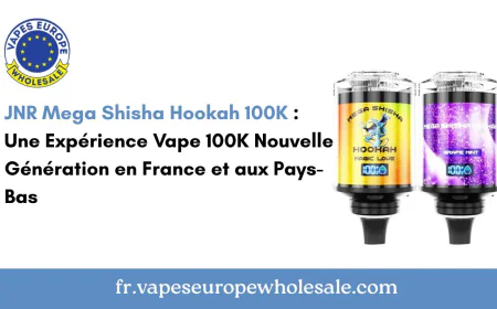 JNR Mega Shisha Hookah 100K : Une Expérience Vape 100K Nouvelle Génération en France et aux Pays-Bas