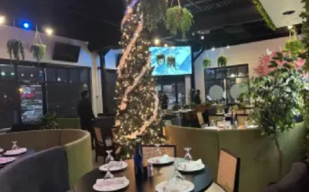 Indian Food Apex Choices People Sort Through Before Ordering Dinner