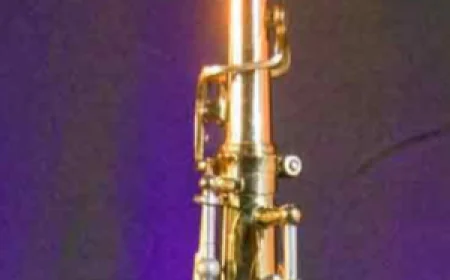 Selmer Alto for Sale in Newport: Features Feel and Value Explained