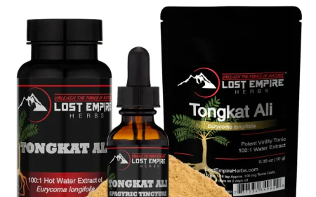 Natural Strategies for Modern Male Vitality