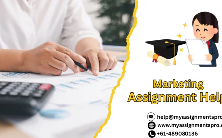 Marketing Assignment Help: Your Complete Guide to Academic Success