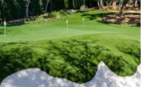 Improving Your Short Game with a Home Putting Green
