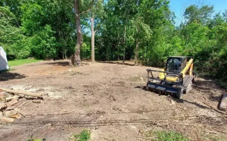 From Brush Removal to Site Prep: Comprehensive Land Clearing Services