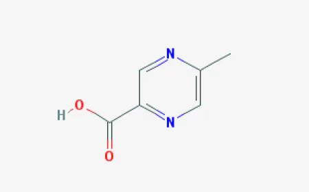 How to do a good job in fire safety in chemical plants?