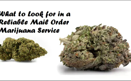 What to Look for in a Reliable Mail Order Marijuana Service