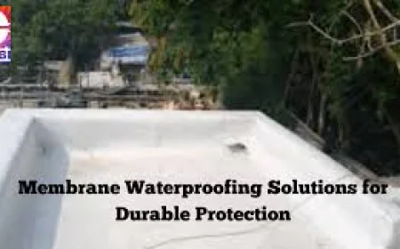 Membrane Waterproofing Services for Roofs, Basements & Terraces