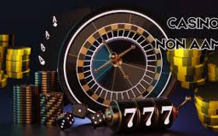 Guida Approfondita ai Casino Non AAMS nel 2026