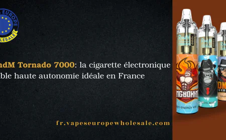 RandM Tornado 7000 : la cigarette électronique jetable haute autonomie idéale en France