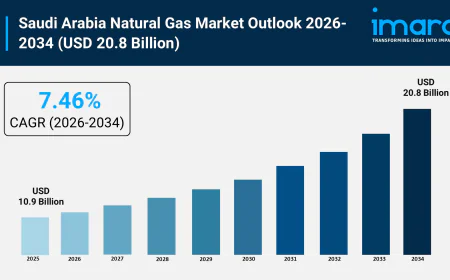 Saudi Arabia Natural Gas Market Demand Analysis, Share Insights and Forecast 2026-2034