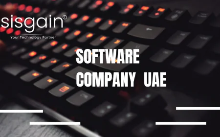 How to Choose the Best Software Development Company in UAE