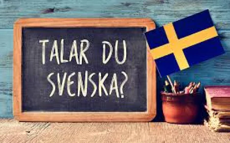 OrdWiki – A Simple and Helpful Swedish Dictionary for Everyday Use