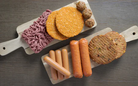 India Meat Substitutes Market Size, Share, Industry Analysis, and Forecast 2025–2033