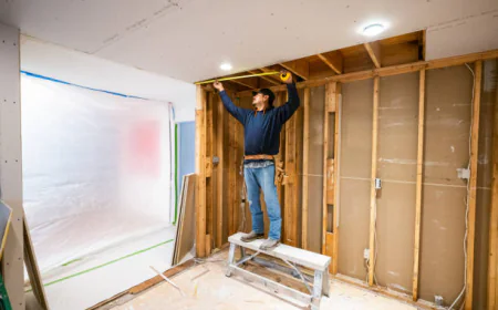 Crafting the Future of History: The Guide to Renovation Berkeley, CA