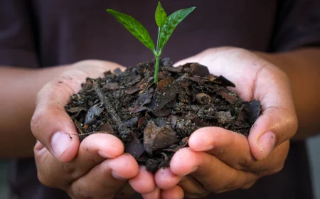 India Biochar Market Trends, Opportunities, and Growth Forecast 2025–2033