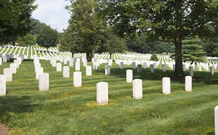 Opciones de seguro médico en Florida: Soluciones asequibles para todos