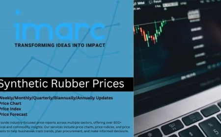 Synthetic Rubber Prices 2025 | Index, Chart & Forecast